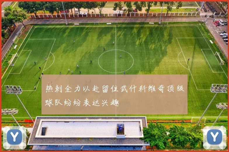 热刺全力以赴留住武什科维奇顶级球队纷纷表达兴趣