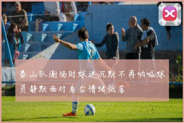 泰山队谢场时球迷沉默不再呐喊球员静默面对看台情绪低落